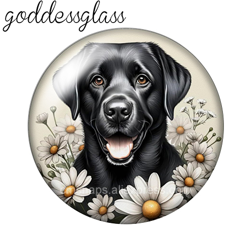 ‌ Chiens mignons parmi les fle - Body Jewelry Top avis et prix